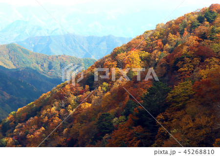湖畔の紅葉 湖畔の紅葉 45268810