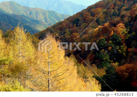 湖畔の紅葉 湖畔の紅葉 45268813