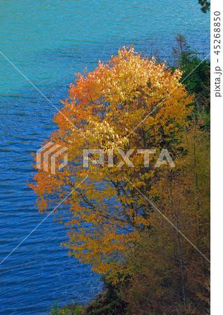 湖畔の紅葉 湖畔の紅葉 45268850