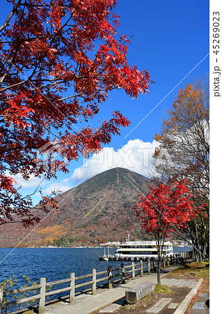 男体山とナナカマドの紅葉 45269023