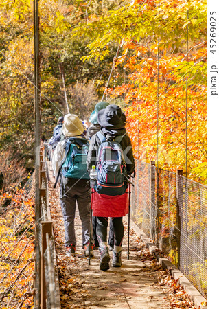 鮮やかな紅葉の登山道 45269025