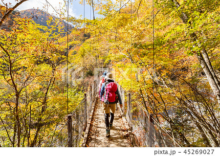 鮮やかな紅葉の登山道 鮮やかな紅葉の登山道 45269027