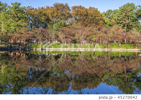 愛知県 名城公園 秋 愛知県 名城公園 秋 45270042