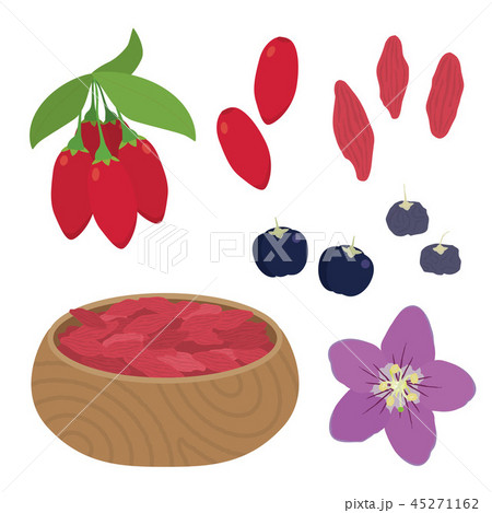 クコ(ゴジベリー) クコ(ゴジベリー) 45271162