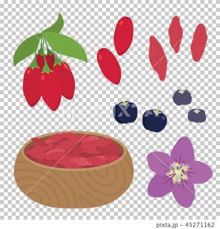 クコ(ゴジベリー) クコ(ゴジベリー) 45271162