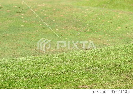 Perfect grass golf course field at hk 45271189