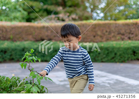 公園で遊ぶ幼児 45271356