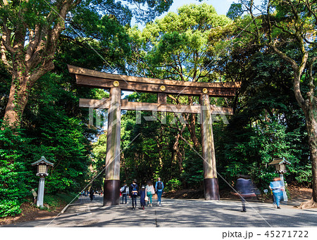 明治神宮 南参道 明治神宮 南参道 45271722