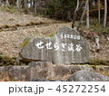 せせらぎ渓谷(西ウレ峠・分水嶺) 45272254