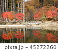 せせらぎ街道(西ウレ峠・分水嶺) 45272260