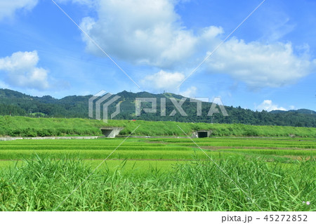 塩沢の夏風景 塩沢の夏風景 45272852