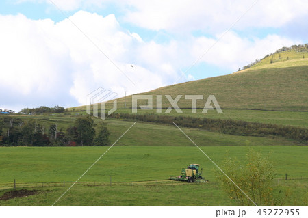 北海道　十勝地方　牧草刈り取り作業 45272955