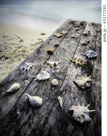 Old table with shells Old table with shells 45277281