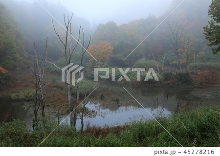 朝霧に包まれる神秘の池　福島県只見町 45278216