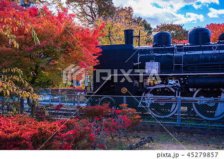 《長野県》小諸城址懐古園のSL 45279857