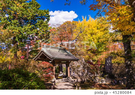 《長野県》小諸城址懐古園の紅葉 《長野県》小諸城址懐古園の紅葉 45280084