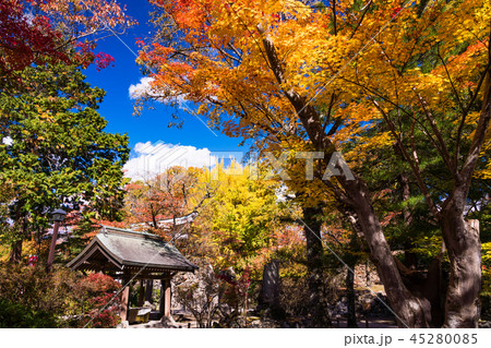 長野県 小諸城址懐古園の紅葉の写真素材