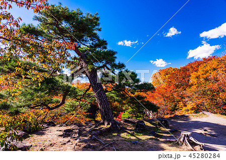《長野県》小諸城址懐古園　小諸城　天守台 45280284