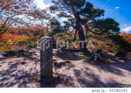 《長野県》小諸城址懐古園　小諸城　天守台 45280285