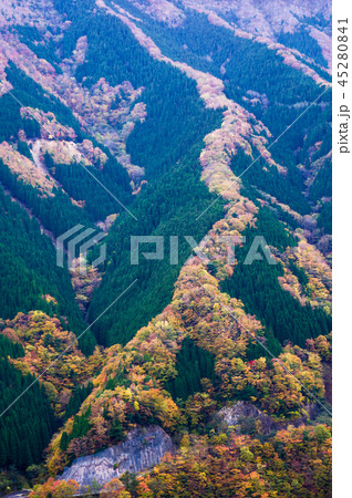 絶景、奇観『天に昇る竜』 絶景、奇観『天に昇る竜』 45280841