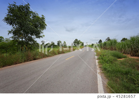 Rural road with trees on both sides during. Rural road with trees on both sides during. 45281657
