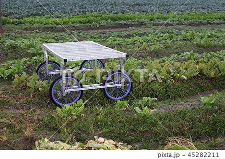 農業用収穫台車の写真素材 [45282211] - PIXTA