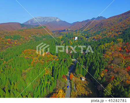 秋の大山への道 45282781