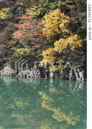 金山湖の紅葉 45282803