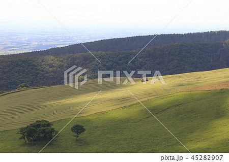 北海道　上士幌　ナイタイ高原　牧草収穫風景 45282907