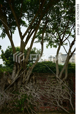 華山1914文創園区 45282988