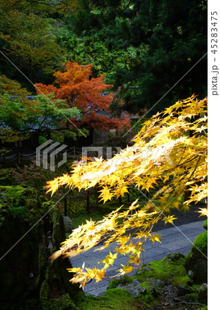 永平寺 紅葉 永平寺 紅葉 45283475
