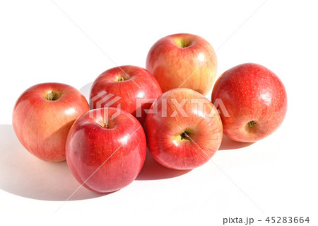 りんご（陽光） 45283664