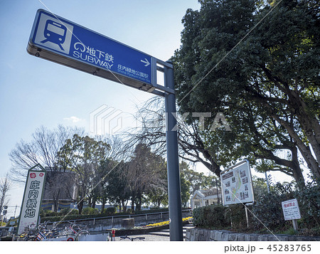 庄内緑地公園 庄内緑地公園 45283765