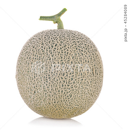 cantaloupe melon on white background 45284089