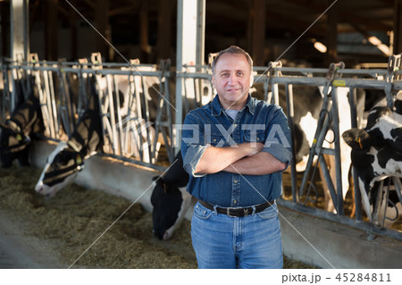 Smiling mature male farmer in cowshed 45284811