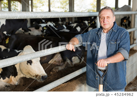 Portrait of man who is standing near cows 45284962