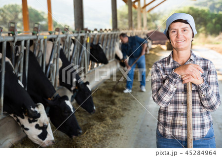 Mature female worker at cowshed Mature female worker at cowshed 45284964