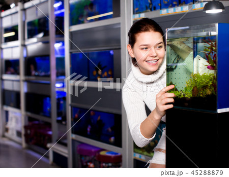 Girl looking at young fishes in aquarium 45288879