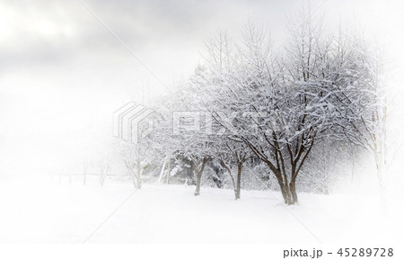 Winter alley beautiful Winter alley beautiful 45289728