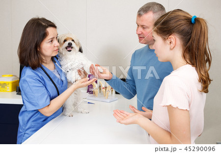 Female veterinarian examining puppy in clinic Female veterinarian examining puppy in clinic 45290096