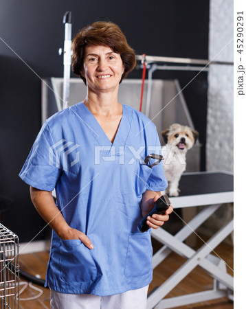 Female groomer with havanese puppy 45290291