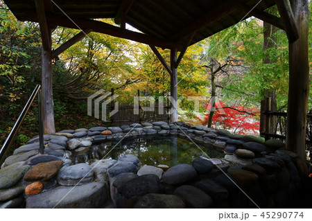 日本の秘湯　嵐渓荘 45290774