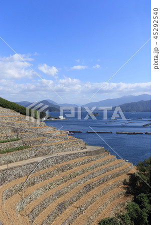 宇和島市三浦半島の「遊子水荷浦の段畑」（重要文化的景観） 45292540