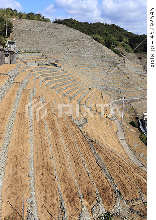 宇和島市三浦半島の「遊子水荷浦の段畑」（重要文化的景観） 45292545