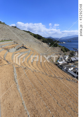 宇和島市三浦半島の「遊子水荷浦の段畑」（重要文化的景観） 45292548