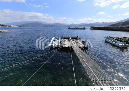 宇和島市三浦半島の遊子水荷浦の漁港から湾奥を見る 45292572