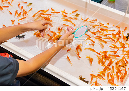 縁日の金魚すくい 祭りイメージの写真素材