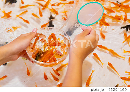 縁日の金魚すくい 祭りイメージの写真素材