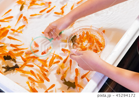 縁日の金魚すくい 祭りイメージの写真素材