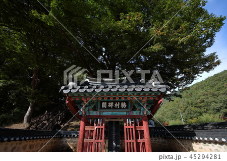 江原道 寧越郡 陵 45294281